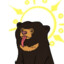 SunBear001