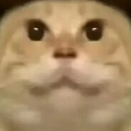 我要哈气了！！！