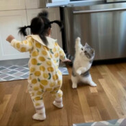 姑娘让拧受精了