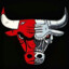 CHICAGO BULLS
