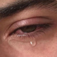 拿什么感同身受