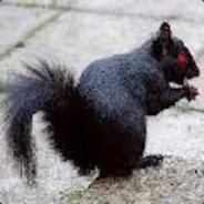 Creepersquirrel
