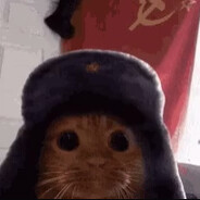 kocimista