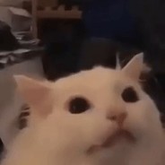 jirachihp