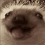 Avatar of Mort