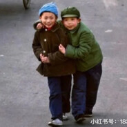 噜噜啦啦噜啦类