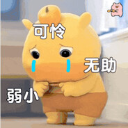 请叫我噜噜大王