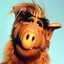 Alf