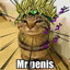 Mr penis