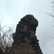 谁在盗我号死全家？