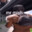 mr mish