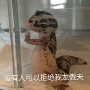 枪马嘴硬不敢对枪