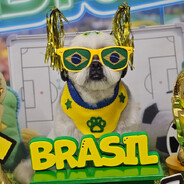 Player avatar