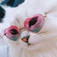 Не вздумай