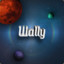 wallisonfranca