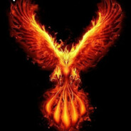 << feniks >> - steam id 76561198443928208