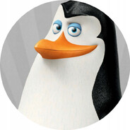 Kowalewskiskins.army