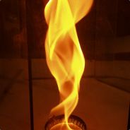 During the Trip - steam id 76561197965838587