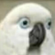 Psih - steam id 76561198399877651