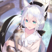 不做兔女郎猫猫的梦