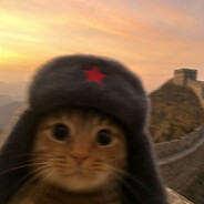 黑丝少妇在线解惑