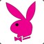 p1nkrabbit