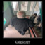 КВАСОВ