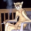 Dr. Greenwich's avatar