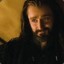 Oakenshield