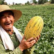 LingLingSchingLingTingTong