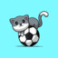 realsoccercat