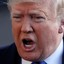 Donald J Trump
