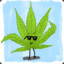 Cannabis &amp; Joint | Marijuana