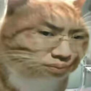 对不起我真的很菜