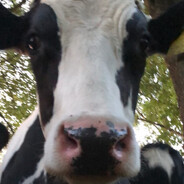 اللاعب>>ISLAMWARRIOR<<