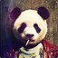 Panda Philip (PP)