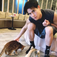 生椰拿铁不加糖