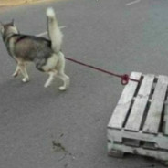 左下角社交點我頭像