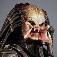 Predator