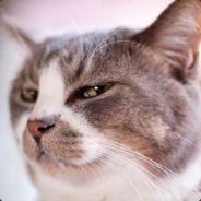 神经病有所好转