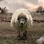 Warsheep