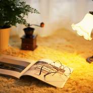 百世经纶一页输