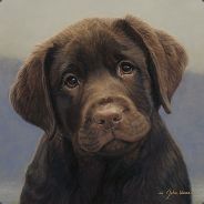 PuppiesNPudding's Avatar