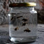 A Jar of Pissed Off Bees