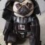 Dog Vader (pt)