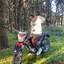 Lucass