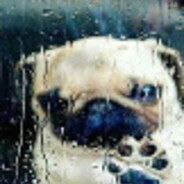 monesy (pug)