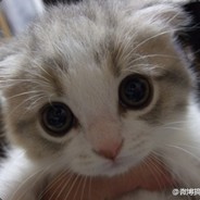 敬敬敬敬敬敬敬敬敬敬