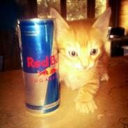ASD's avatar