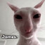 Evil James's avatar